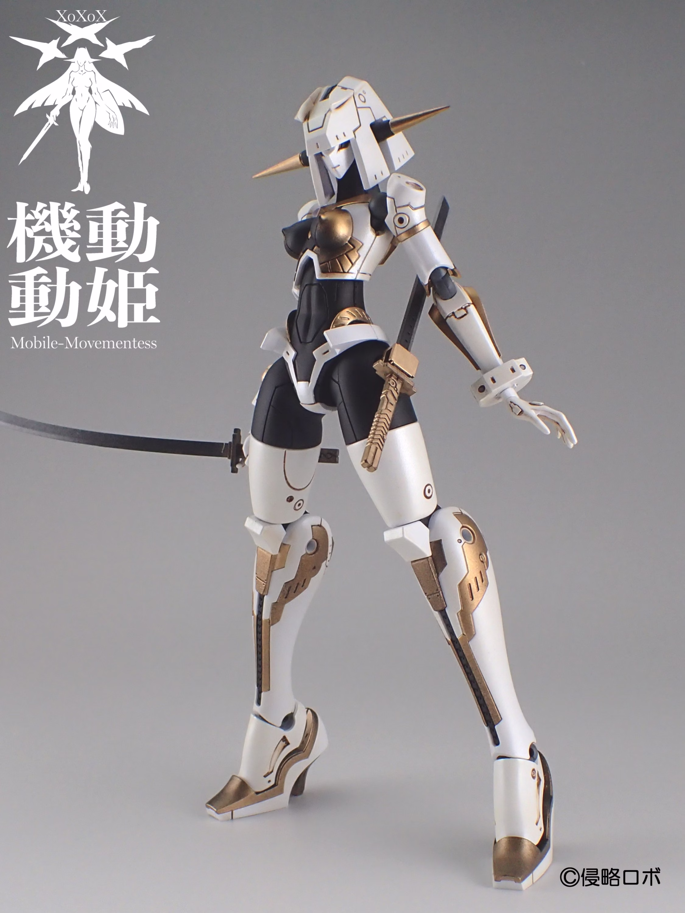 srr-001-wbg_3