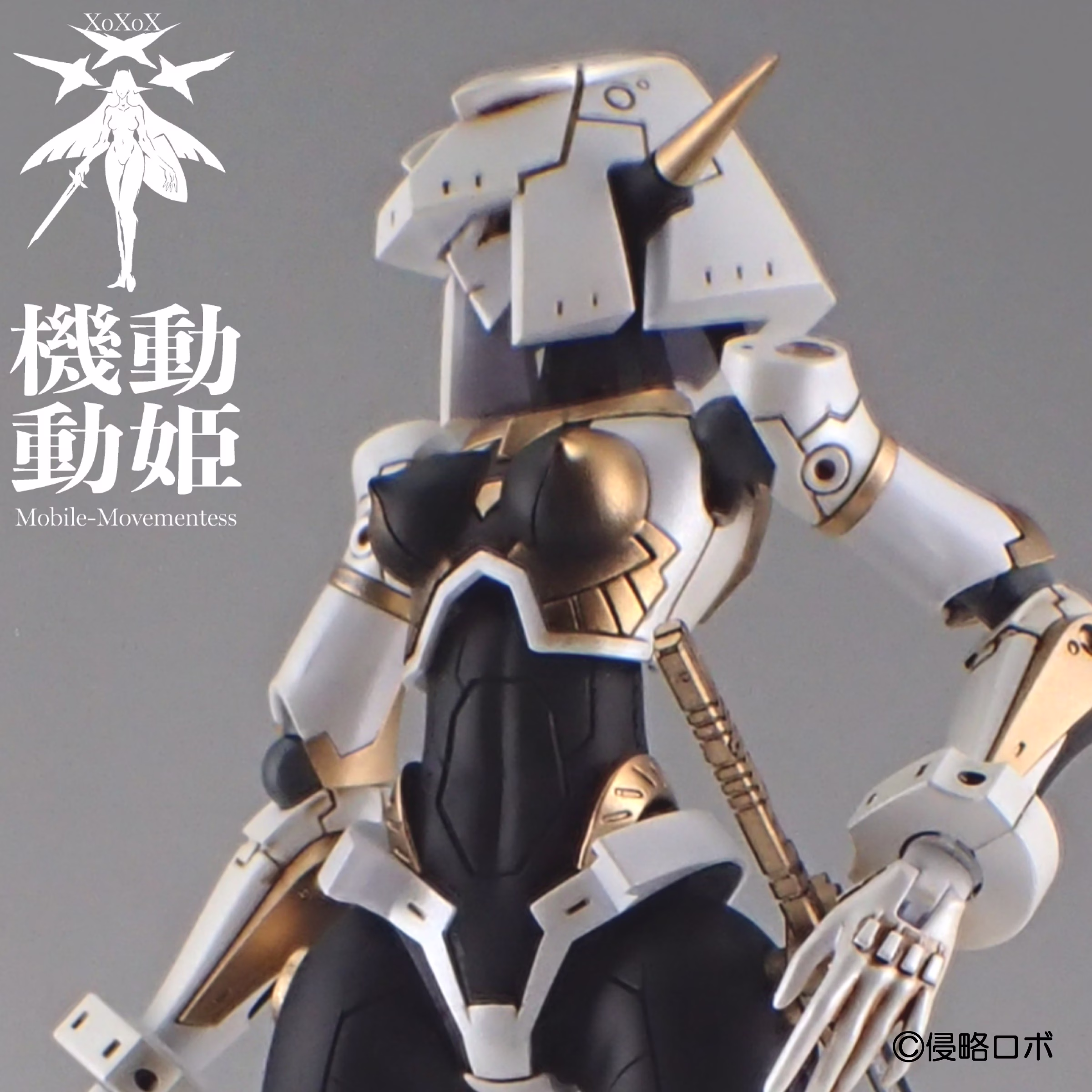 srr-001-wbg_5