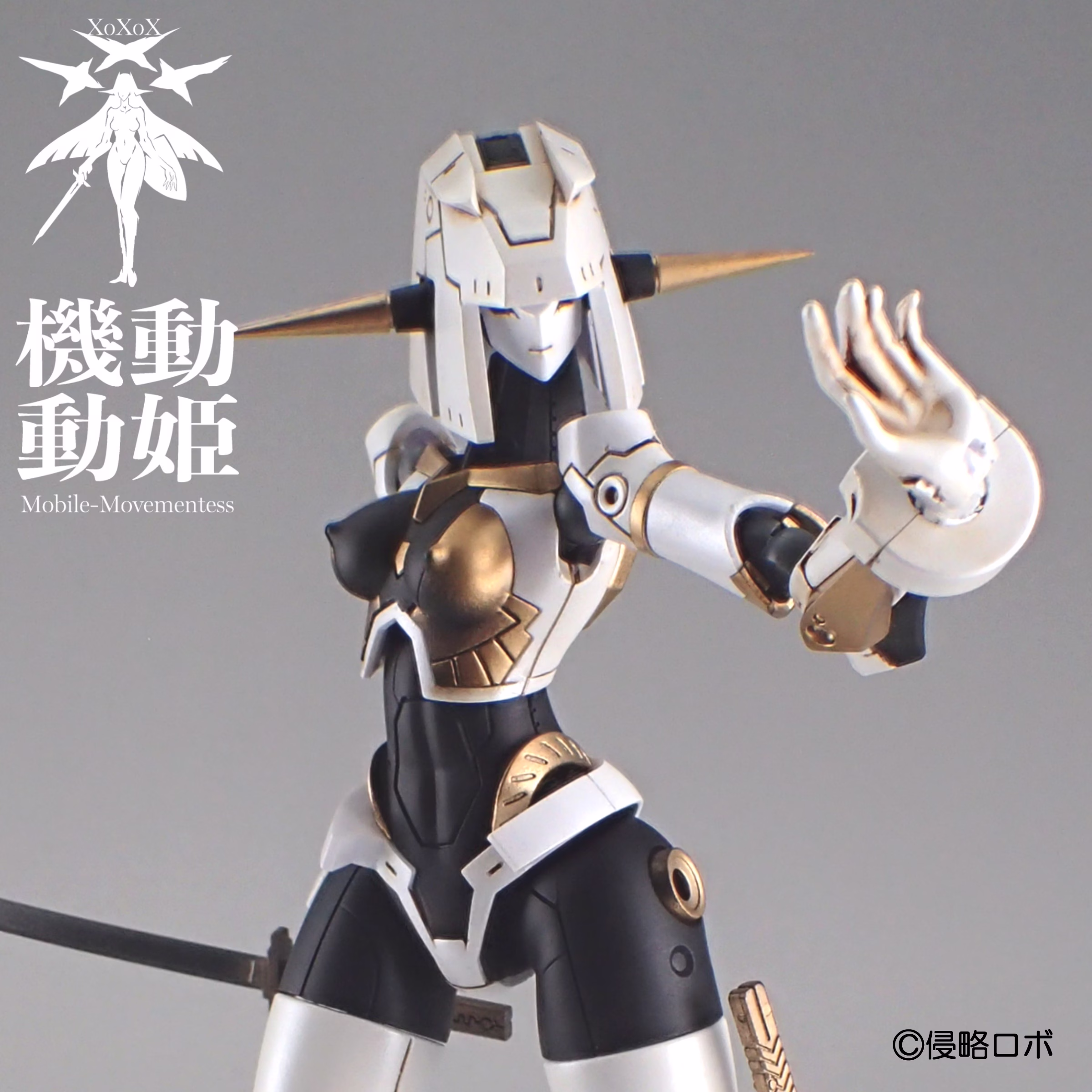 srr-001-wbg_8