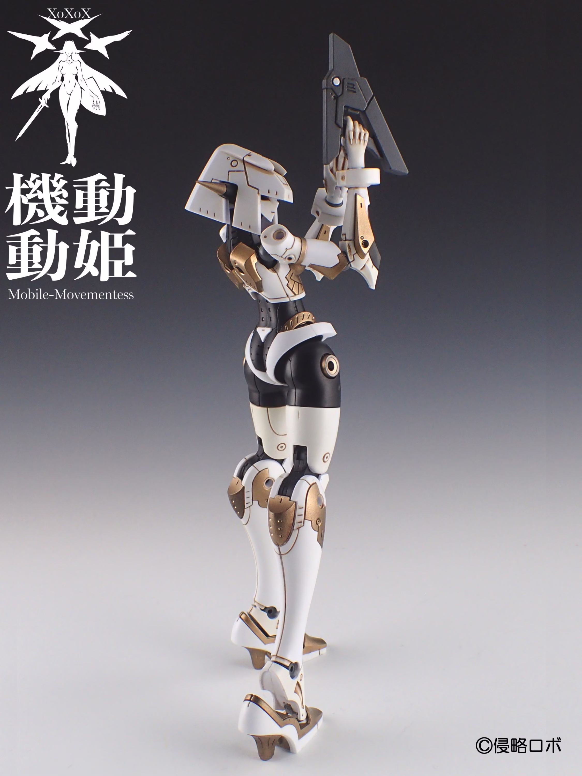 srr-001-wbg_9
